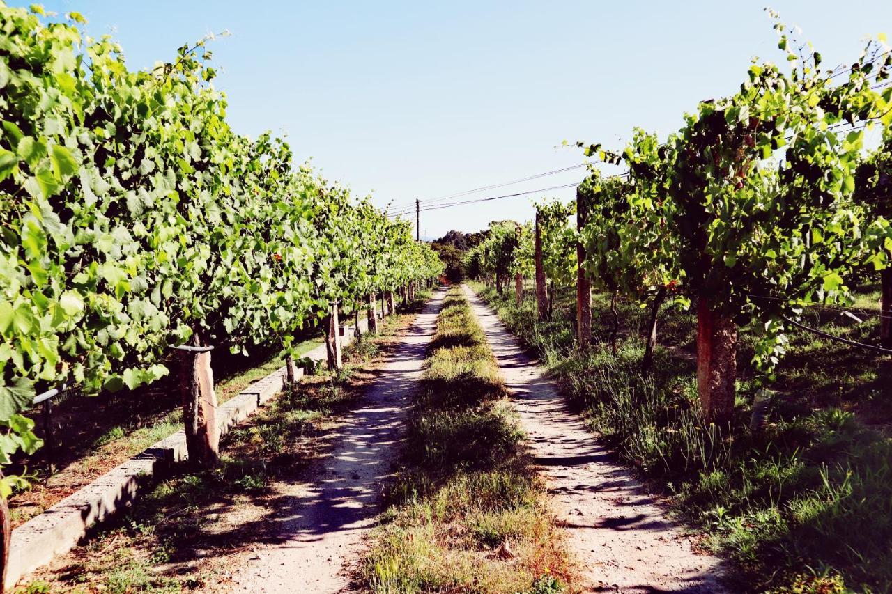 Quinta De Real Villa Valenca Luaran gambar