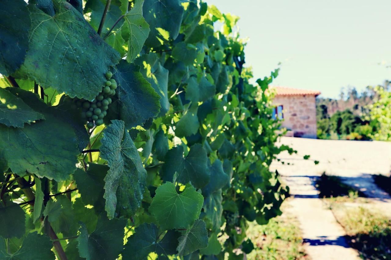 Quinta De Real Villa Valenca Luaran gambar